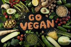 vegetarian