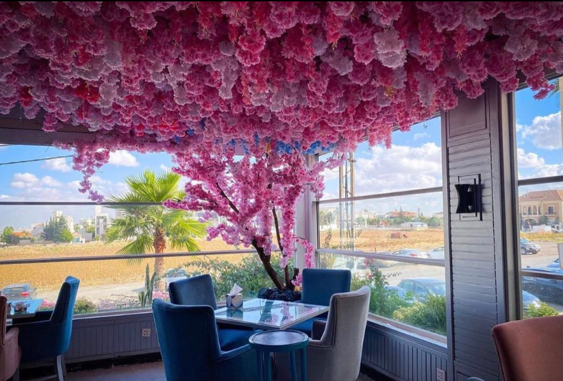 Cafes in Amman Location Cafe: