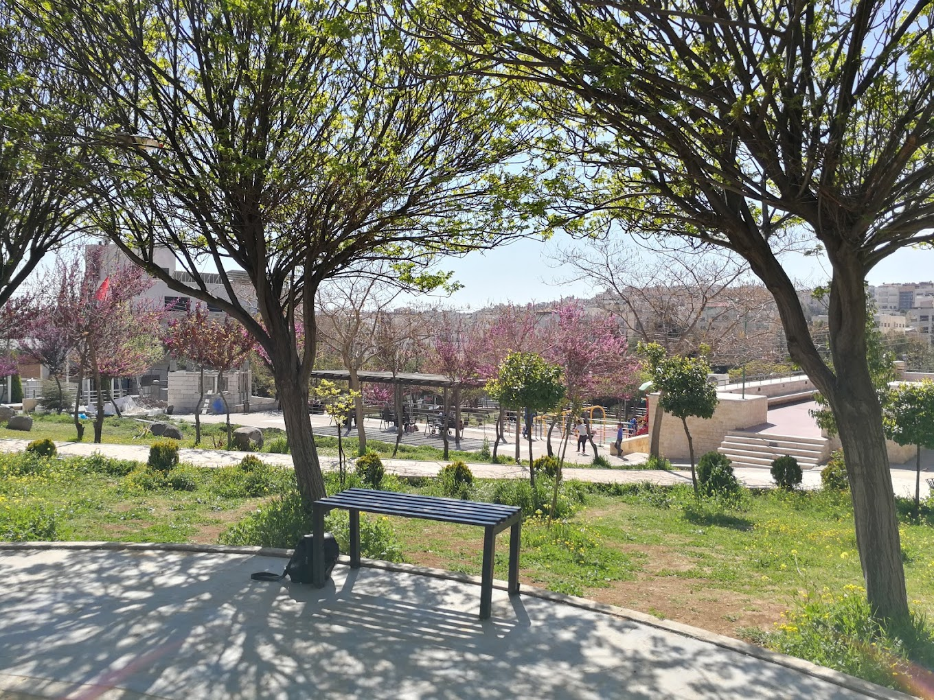 Martyr's park - amman