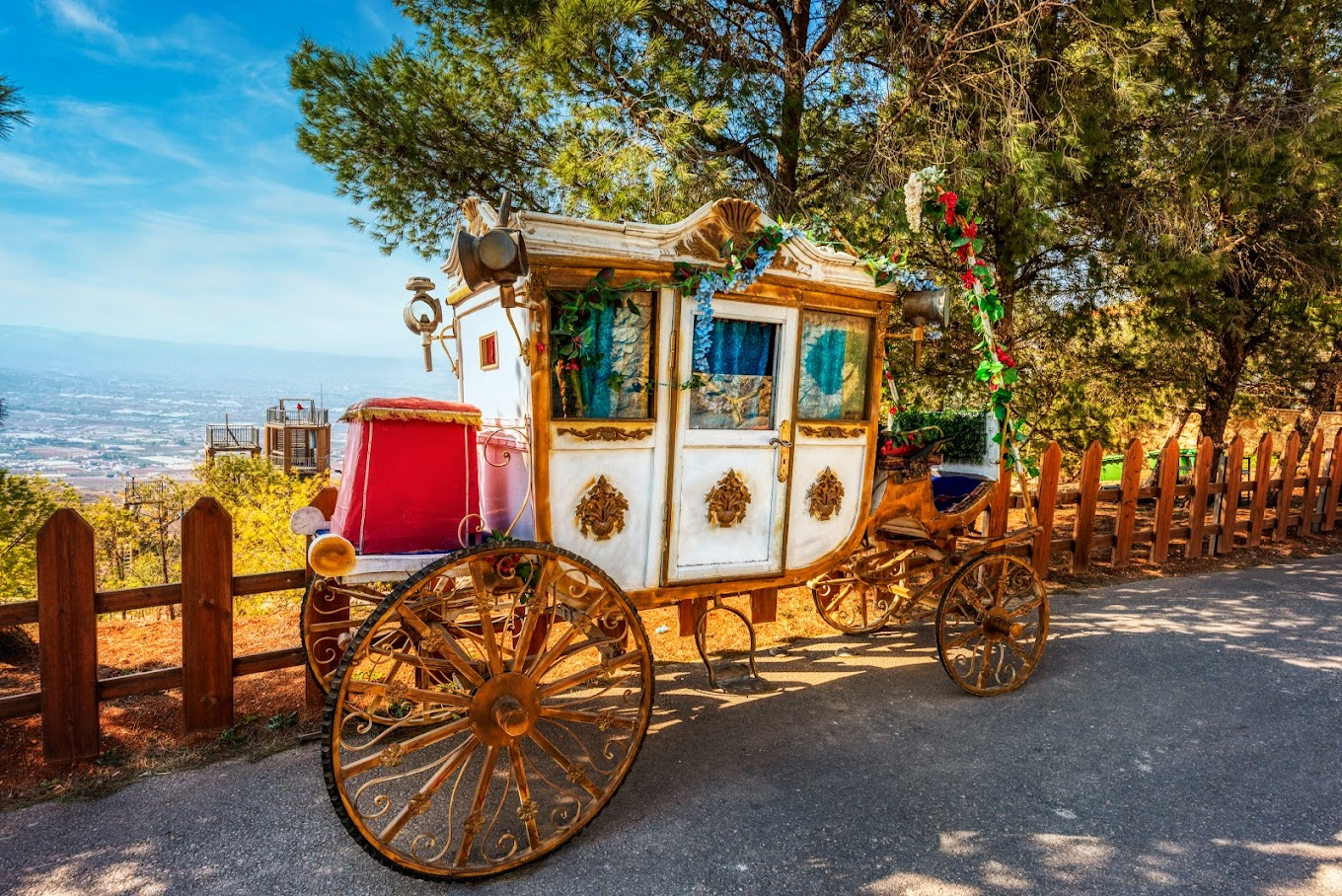 Amman's Parks - The forest