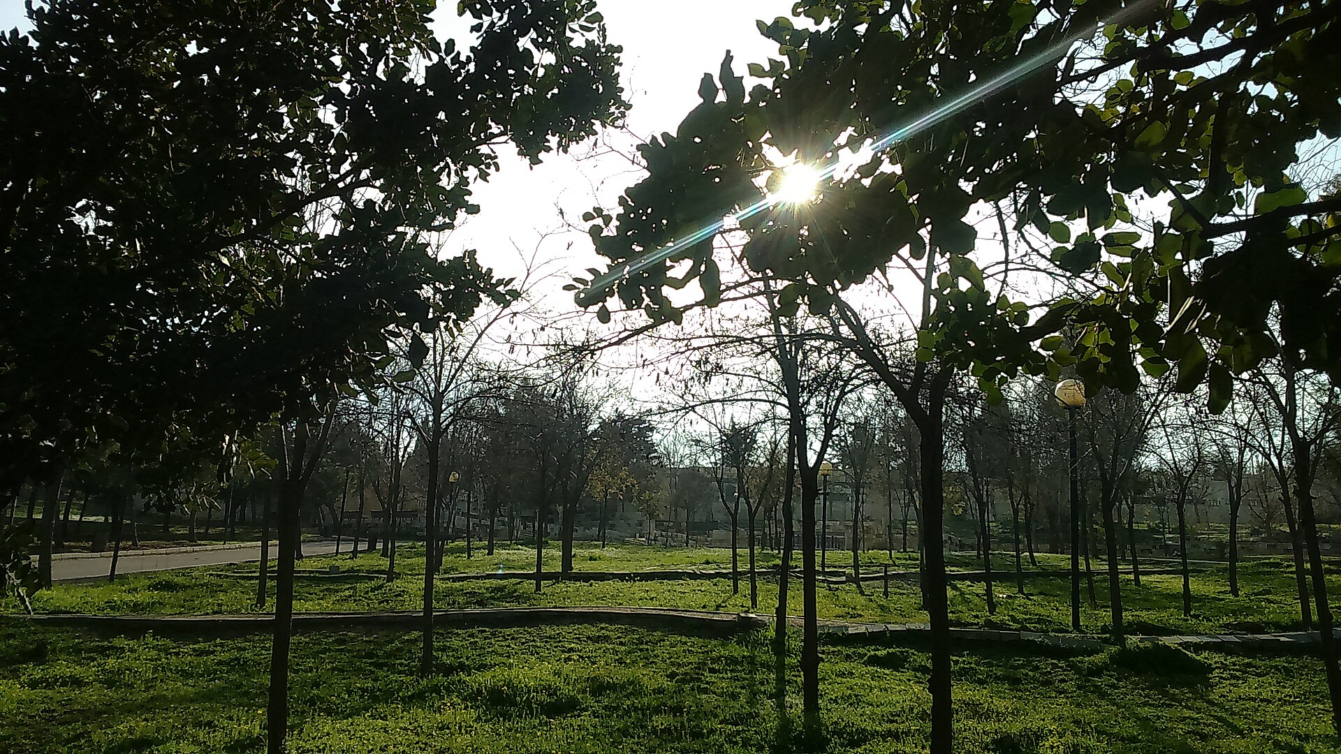 picnic barbecue Amman