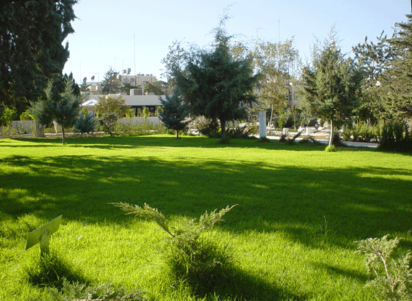 picnic barbecue Amman